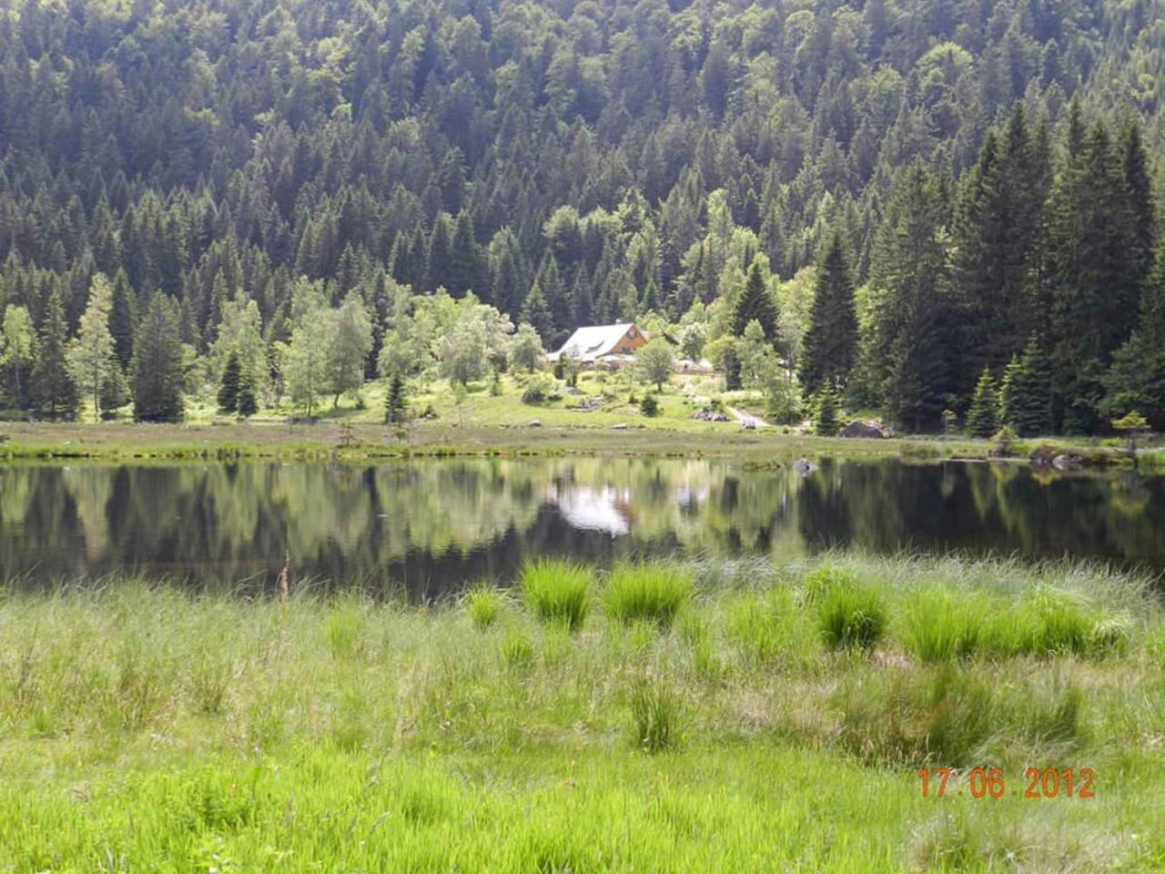 Gästehaus Schmalzreich Lam Exterior foto